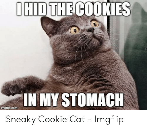 hid-the-cookies-in-my-stomach-mgfip-com-sneaky-cookie-cat-54376958.png