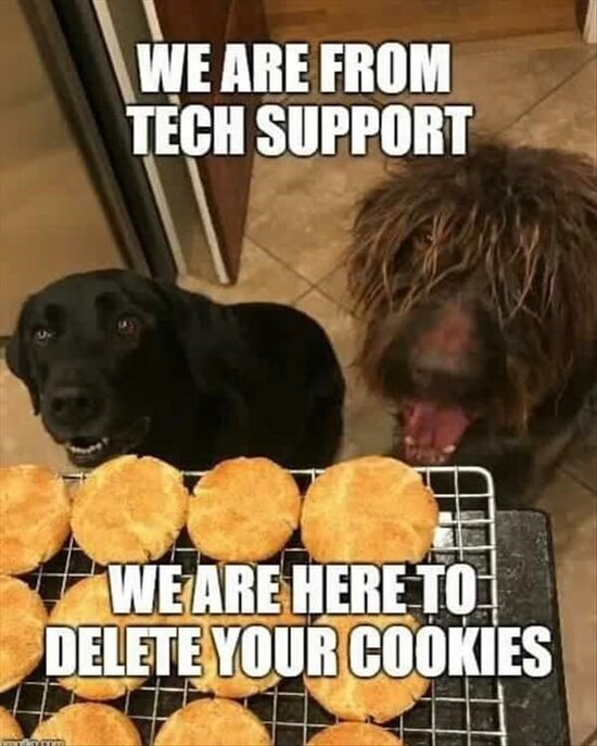 dog-memes-dog-we-are-from-tech-support-weare-here-to-delete-your-cookies-nmm.jpg