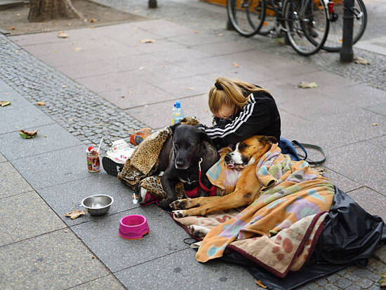 Berlin, Germany - August 22, 2016: Beggar / homeless on the streets of Berlin. Sitting down on sidewalk. With two dogs.
