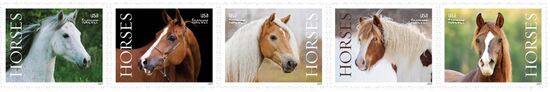 Series of postage stamps depicting horses to be issued by the United States Postal Service in 2024.