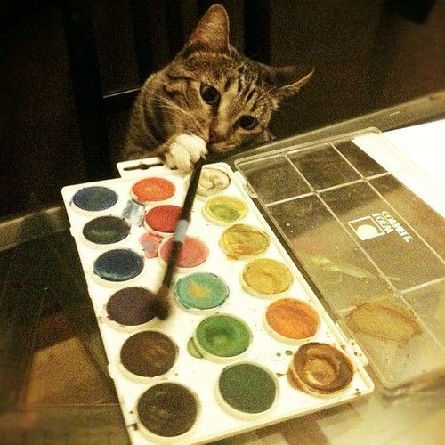 catwithwatercolorpaint.jpg