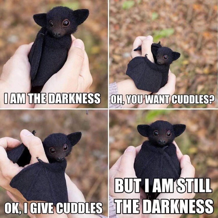 batanimal-iam-darkness-oh-want-cuddles-but-am-still-ok-give-cuddles-darkness.jfif