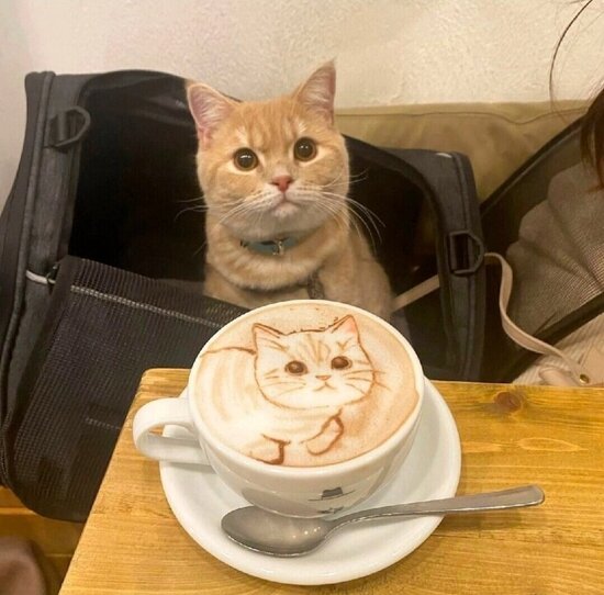 Ginger cat sitting up in a carrying pouch in front of a table on which are a cup of coffee and cream, a saucer, and a spoon.  The surface of the coffee & cream has been shaped into a picture of the cat.