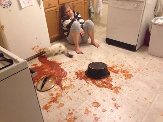a pot of spaghetti sauce has overturned all over the kitchen floor, cook looks devastated, cat looks intrigued.