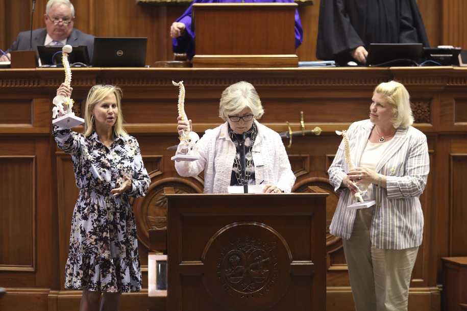 GOP women who helped defeat abortion ban are losing reelection in South Carolina