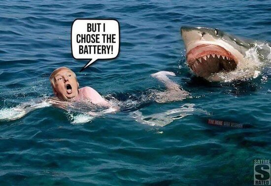 Frightened Trump trying to swim away from a shark