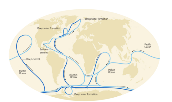 The global ocean circulation system. Deep water production sites noted MAPHOTO 