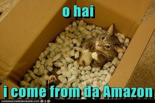 funny-cat-meme-of-a-cat-that-jumped-in-an-amazon-box-full-as-if-she-was-the-package.jpeg