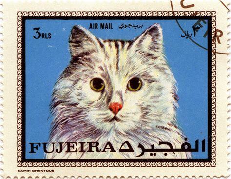 postage stamp of a cat on a blue background, unknown alphabet used along with some Roman letters.
