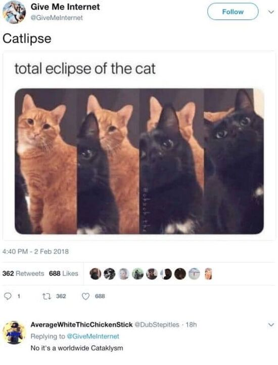 Series of pics of a black cat progressively more photobombing a ginger cat, "total eclipse of the cat".
