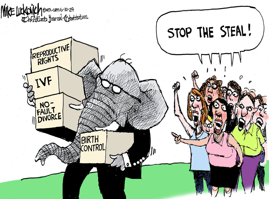Cartoon: Stop the steal