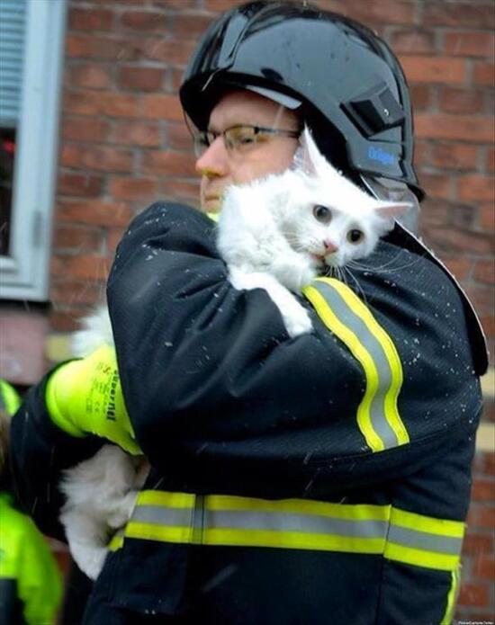 firefighter holding a white cat which looks very scared.