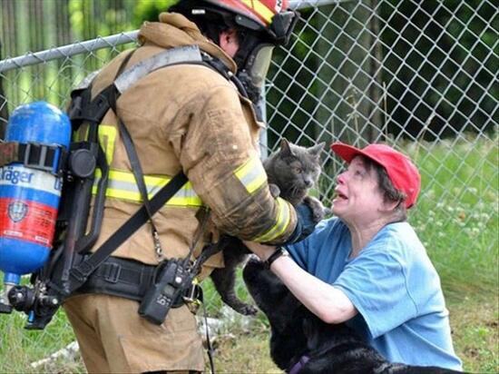 firefighter returning a gray cat to its weeping owner