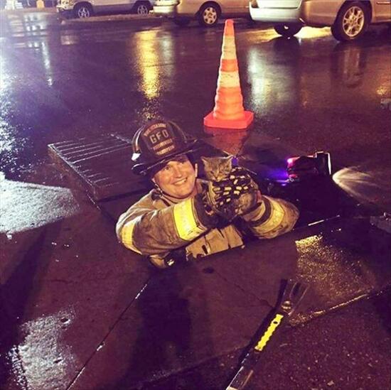 firefighter with kitten emerging from a storm drain