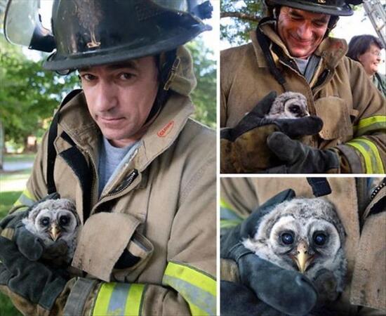 firefighter holds a rescued owl