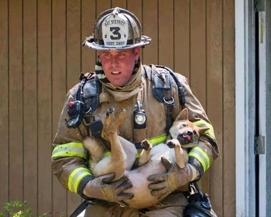 firefighter cradles a dog while exiting the building.
