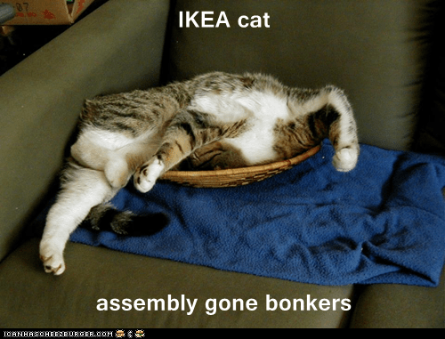 ikea-cat-assembly-gone-bonkers.png