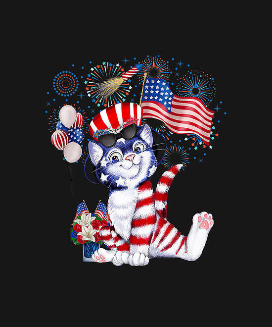4thcat-fireworks-4th-of-july-american-flag-patriotic-dhbubble.jpg