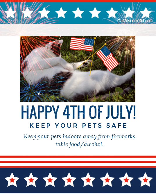 4thJuly-4th-safe-pet-graphic.png