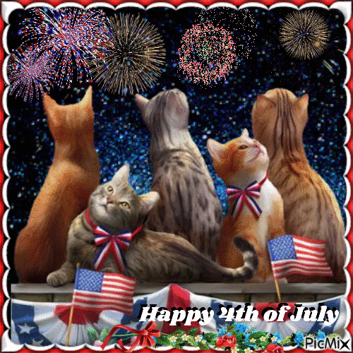 4thCats-Watching-Fireworks-Happy-4th-Of-July-Gif.gif