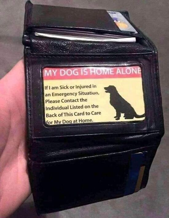 A wallet card saying that the bearer has a dog at home, and to contact the person listed on the back in an emergency to care for them.