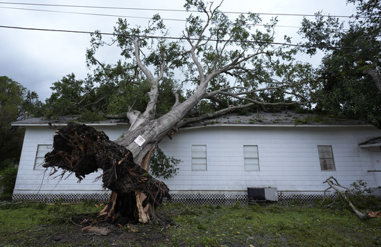 An upended tree rests on Bethel Church after Hurricane Beryl moved through the area, Monday, July 8, 2024, in Van Vleck, Texas. (AP Photo/Eric Gay)