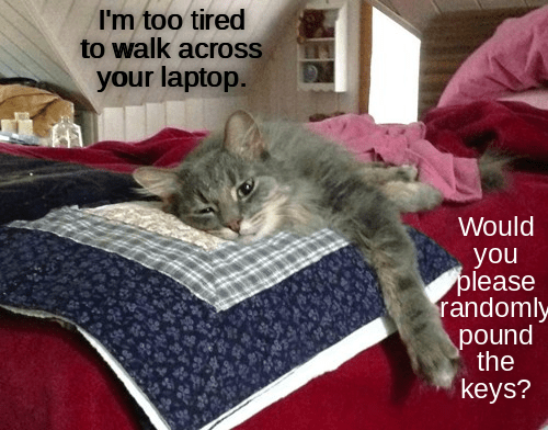 cat-im-too-tired-to-walk-across-your-laptop-would-you-please-randomly-pound-the-keys.png