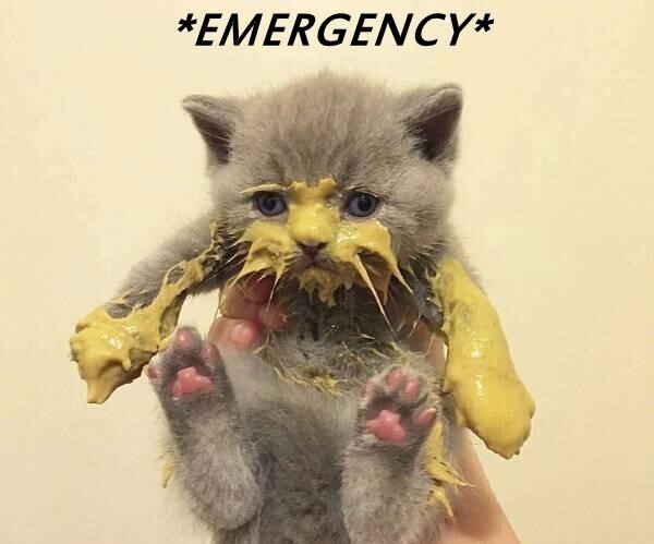 emergency.jfif