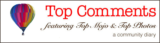 Banner for the community diary called Top Comments, a series that features the best comments at the site each day.