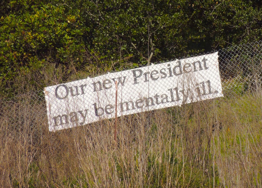 'Our new President may be mentally ill.' sign next to Route 101.