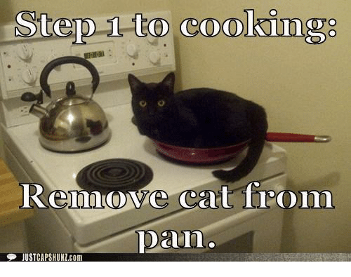 step-to-cooking-cat-from-dan-stuustcapshunz-com-13446919.png