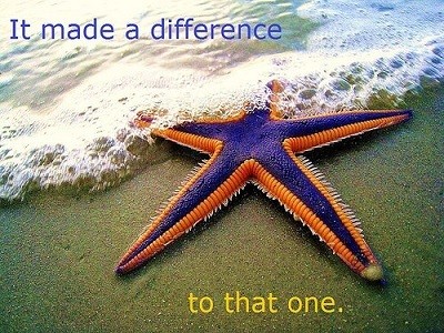 Starfish on beach with caption: It made a difference to that one.