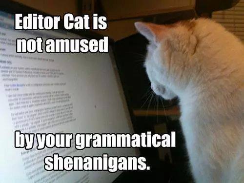 EDITORCAT IS NOT AMUSED BY YOUR GRAMMATICAL SHENANIGANS.