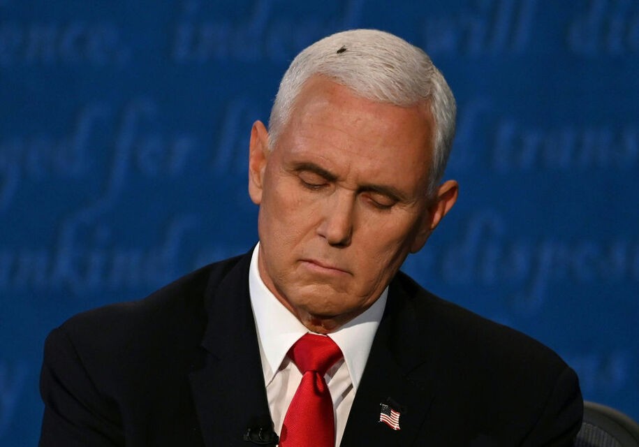 A fly rests on the head of US Vice President Mike Pence as he takes notes during the vice presidential debate against US Democratic vice presidential nominee and Senator from California Kamala Harris in Kingsbury Hall at the University of Utah on October 7, 2020, in Salt Lake City, Utah. (Photo by Eric BARADAT / AFP) (Photo by ERIC BARADAT/AFP via Getty Images)